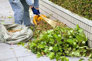 ビル マンション周りの草刈り作業